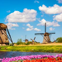 A better life in the Netherlands working as a Nurse !